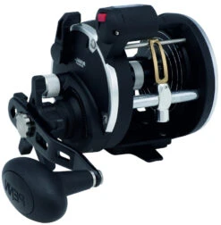 PENN RIVAL LEVEL WIND Rechtshand -Angelausrüstung 1404003E9U7dhlj0JfYg 1280x1280