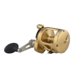 PENN Internationl VI - Multirolle -Angelausrüstung PENN International VIS 16 Gold 2018 1370776 alt2FeFLL73dkR3ue 1280x1280